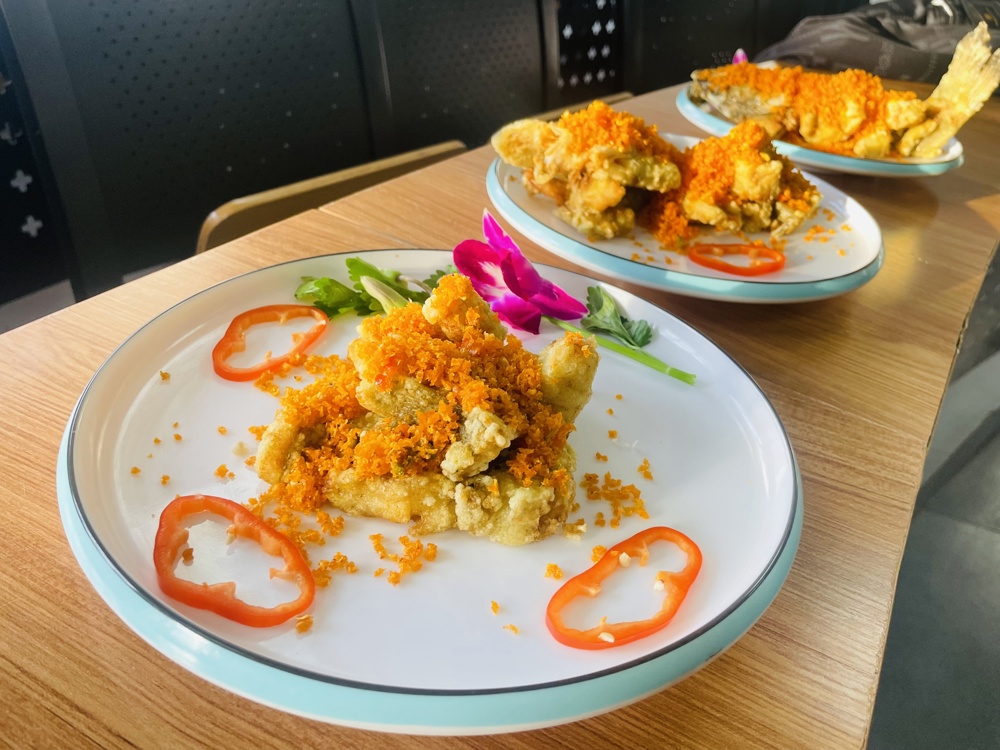 47e0528199877f5d3ee814979ea16dcc