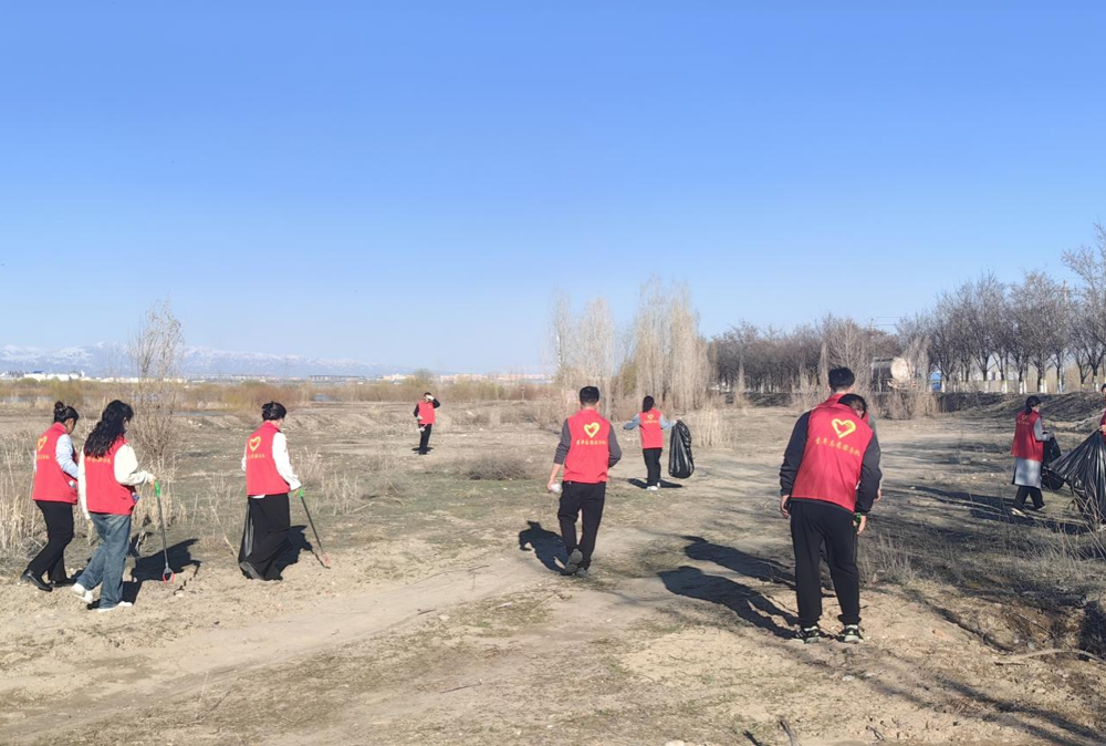图片4