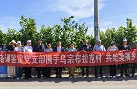 彩绘美丽乡村 凝聚民心力量 