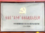 汽车工程系党支部2024年被评为自治区“五个好”标准化规范化党支部