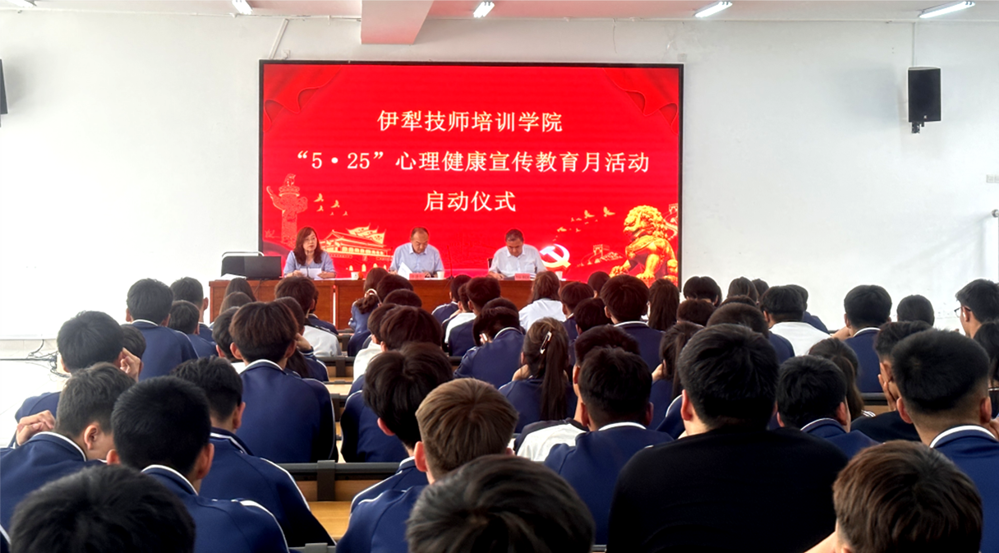 图片8