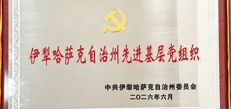 喜报！我院思想政治教育党支部荣获伊犁州 先进基层党组织称号